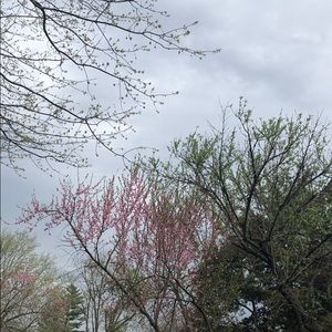 Meet your Posher, Gave